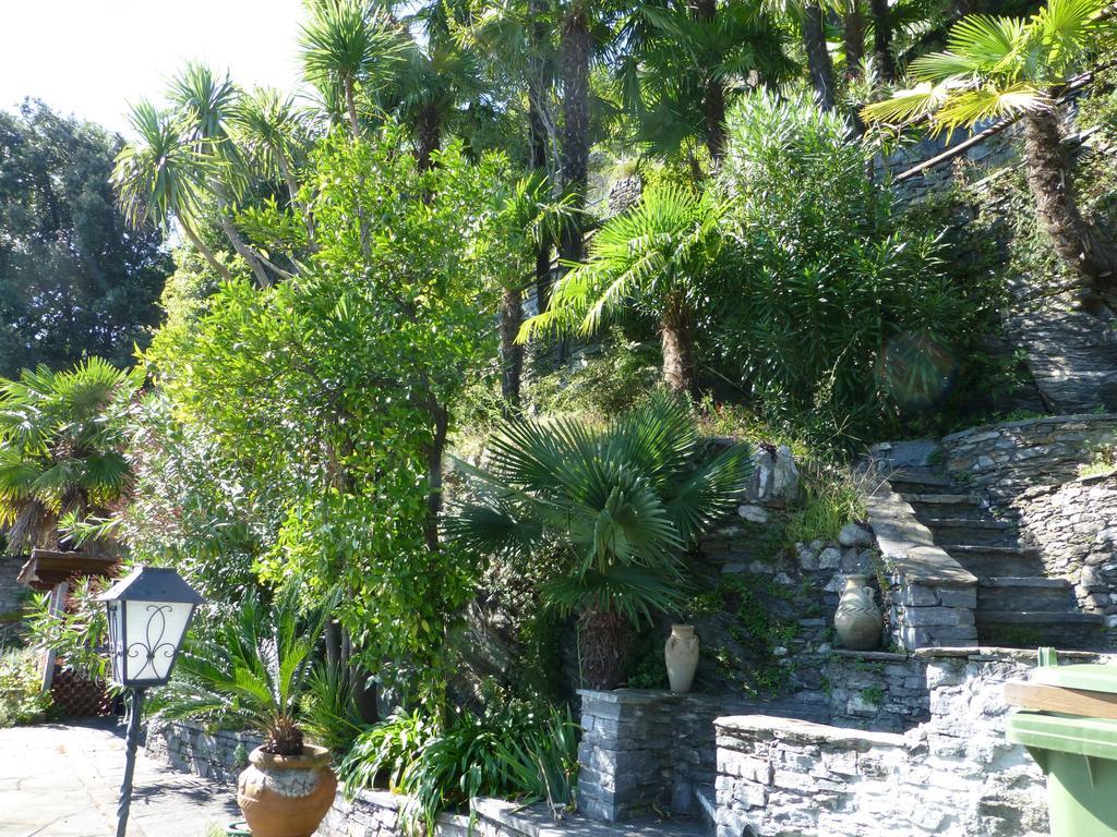 Casa Chatelain Ronco sopra Ascona Camera foto